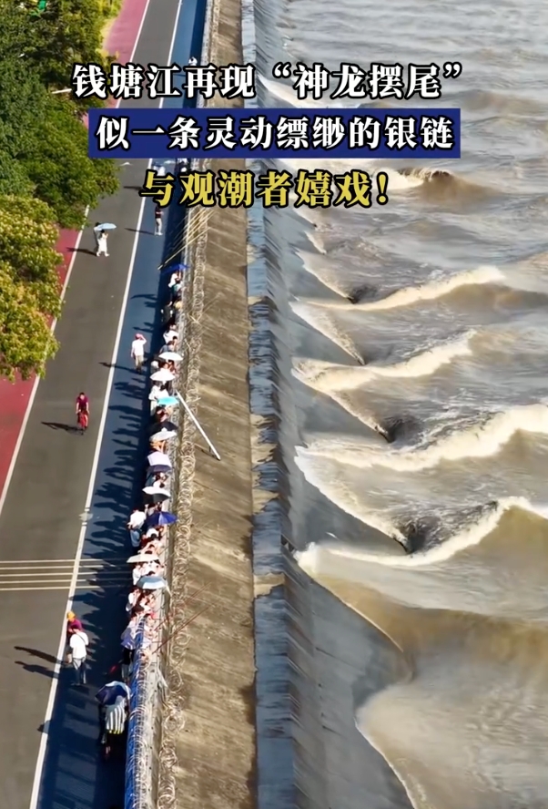 钱塘江再现“神龙摆尾”是怎么回事？详情介绍 - php中文网