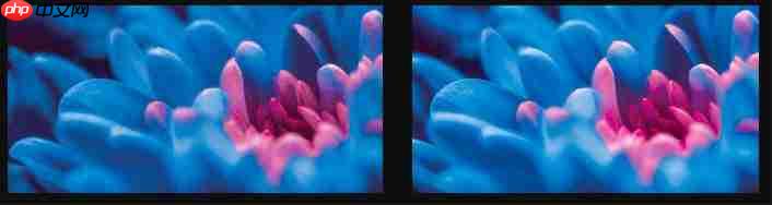 4K影院新突破!爱普生专业家庭影院CH-LS9000带来专业审片级体验