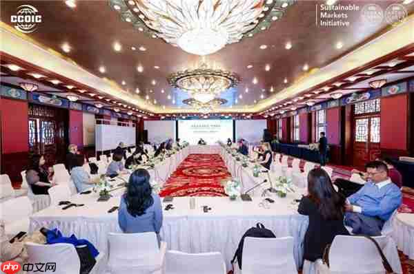 能链创始人戴震出席“可持续市场倡议”中国系列论坛  阐述AI驱动能源产业链升级新路径