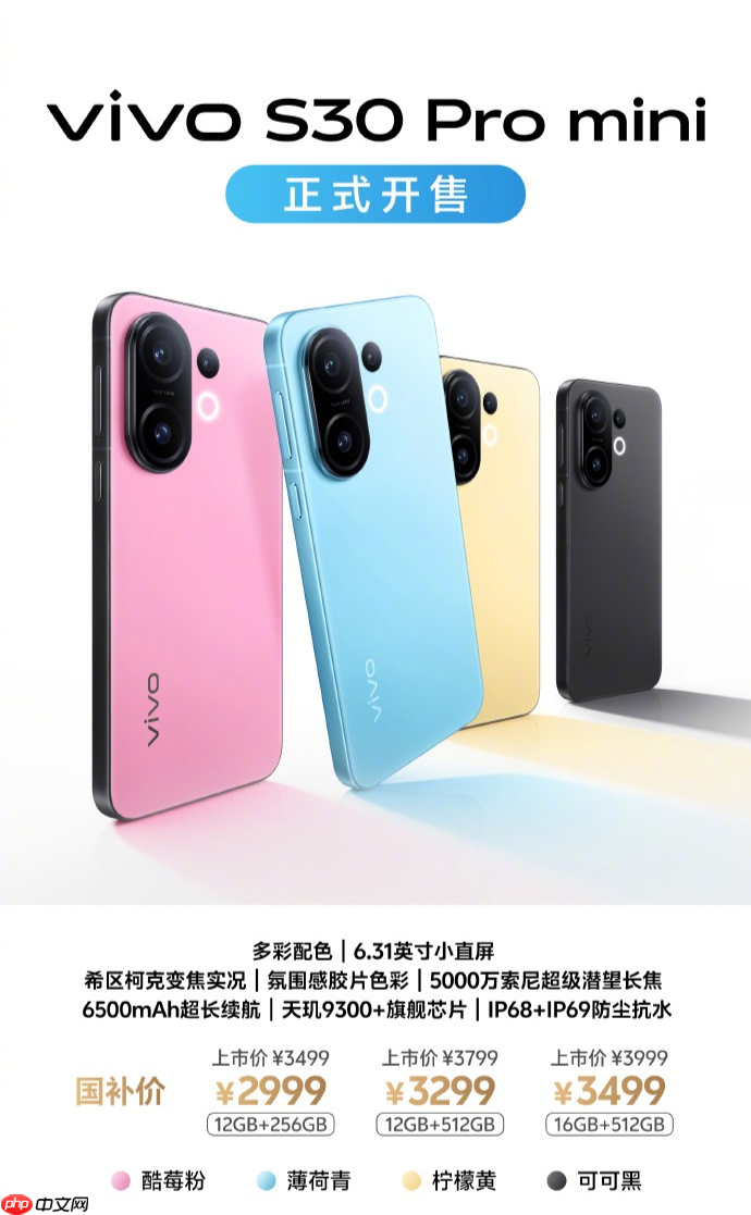 多彩小直屏vivo S30系列正式开售，国补到手2294元起！