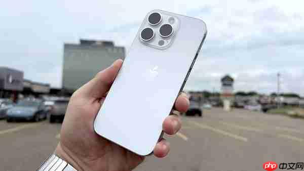 假扮FBI特工犯罪团伙持枪抢劫物流中心数百部iPhone手机案曝光