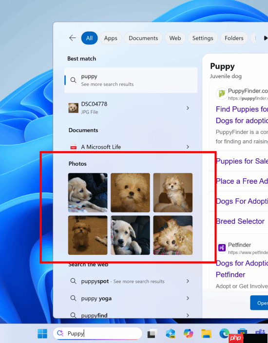 微软windows 11搜索迎来全新功能！可直接搜索图片并显示结果
