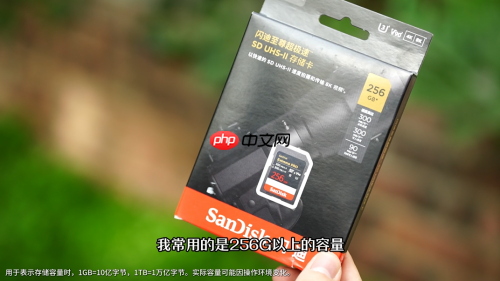 夏日出逃纵情旷野：闪迪助力露营玩家解锁自然治愈能量