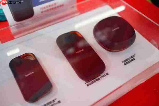 ChinaJoy 2025热力全开 闪迪携合作伙伴共绘互动娱乐新图景