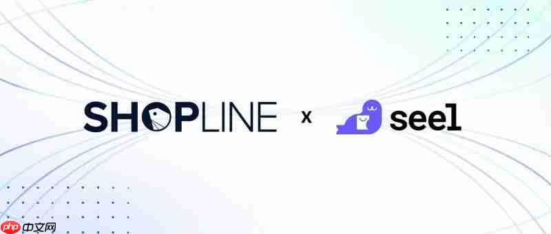 SHOPLINExSeel共建信任基石，独家售后方案助力独立站商家发展保障服务