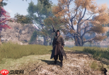 下一站江湖2盗圣珍宝奇遇指南：破解江湖谜题，追寻失落的秘藏