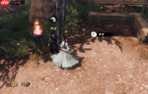 下一站江湖2盗圣珍宝奇遇指南：破解江湖谜题，追寻失落的秘藏