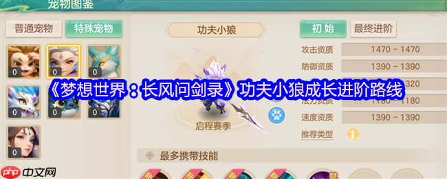 梦想世界功夫小狼终极培养指南：首充神宠进阶全解