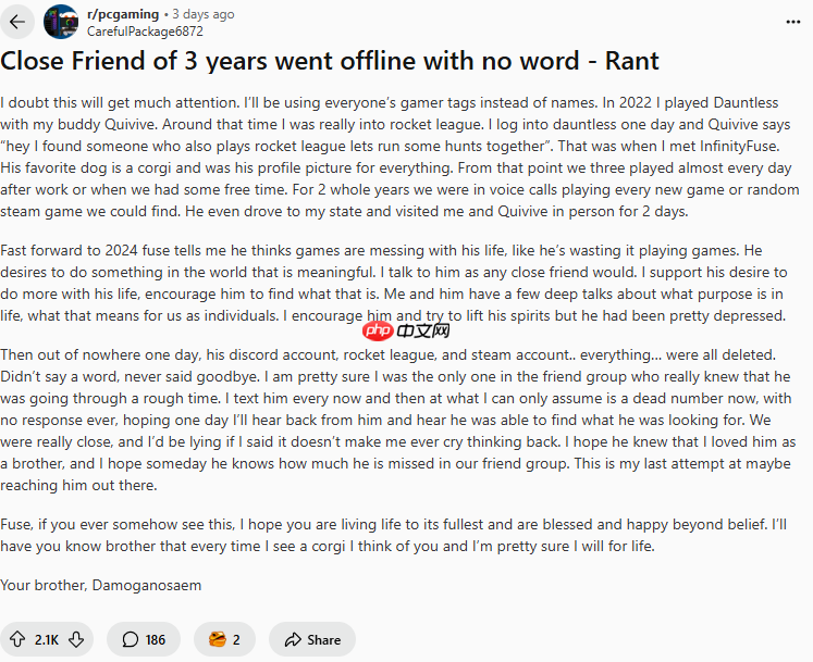 老外玩家发帖感怀三年游戏好友突然失踪 网友共鸣热议