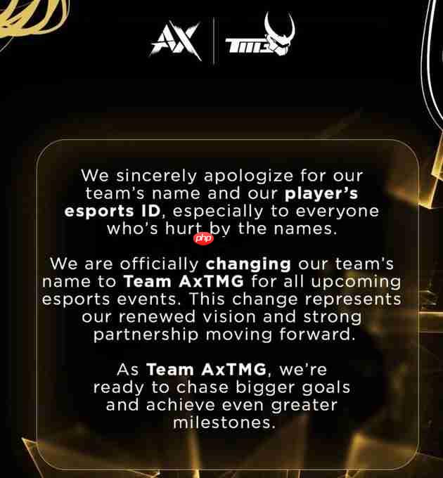 印度电竞选手起名“希特勒”遭禁赛 被迫改名“亨利”