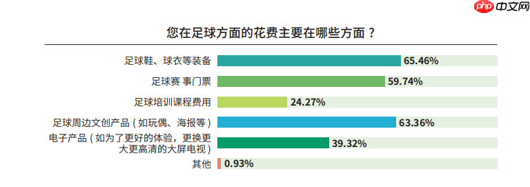 《中国足球环境及未来发展白皮书（2025）》发布：100吋大屏电视成标配