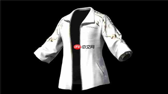 网鱼与PUBG联名白运动BW 2025现场引爆热潮