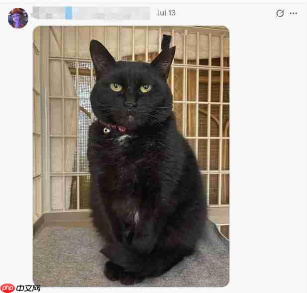 你的宠物够吓人吗？ 《生化危机》官方收集恐怖宠物照