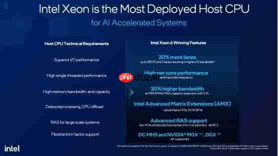 为什么选英特尔至强6776P做DGXB300的主控CPU？