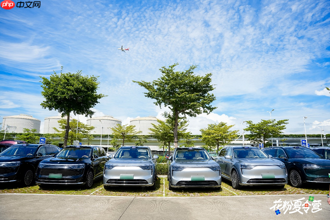 2025花粉夏令营：一场科技与热爱的盛夏之约