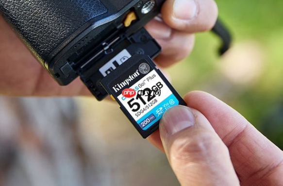 一卡走天下 金士顿Canvas Go！Plus系列存储卡