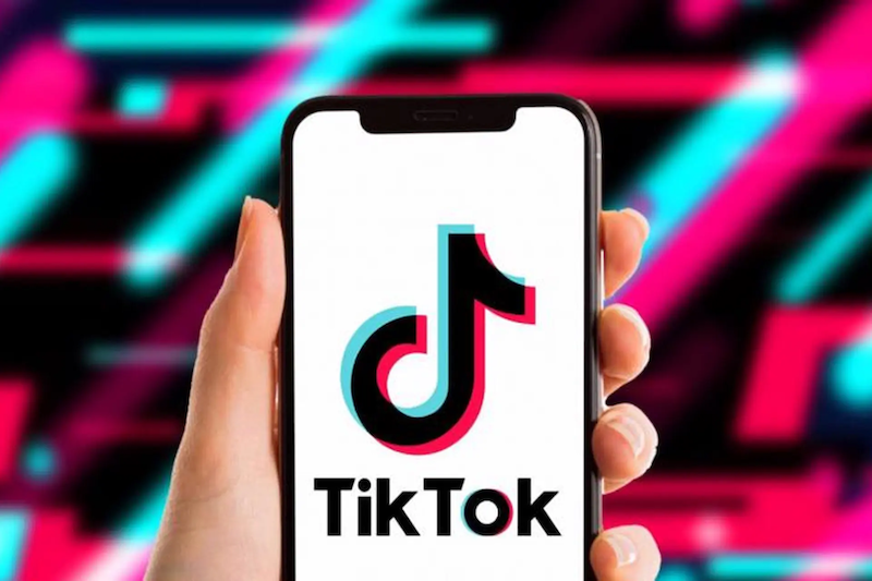 TikTok搜索功能失效解决方案探讨
