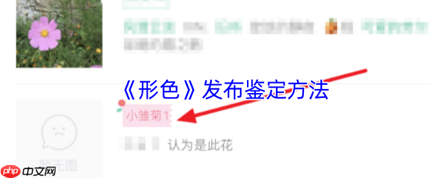 形色 APP 植物鉴定全攻略：3 分钟成为野生植物学家