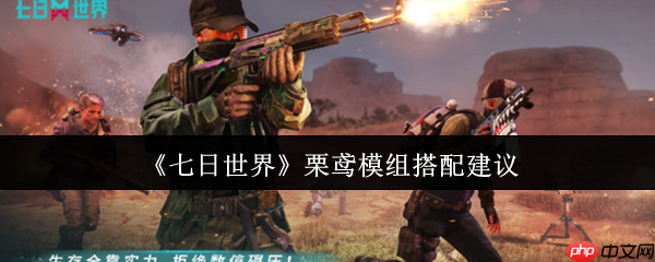 七日世界栗鸢模组终极指南：狙击之王进阶搭配秘籍