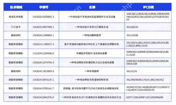 鲁大师2024年两轮电动车行业调研报告