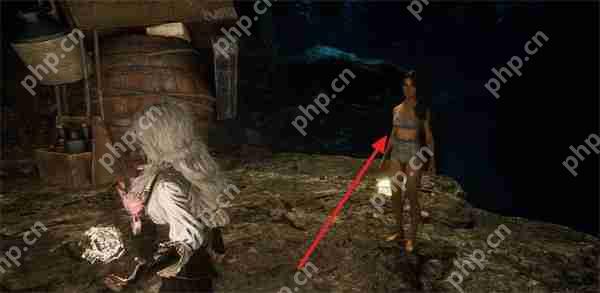 光与影 33 号远征队繁叶结获取攻略：阴森洞穴寻宝指南