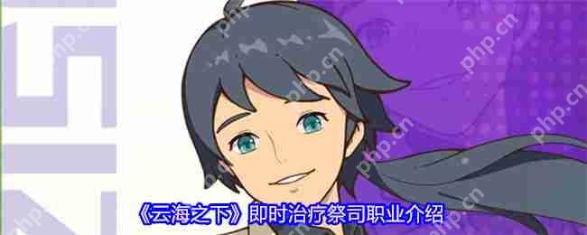 云海之下祭司职业全面解析：后排治疗核心技能与团队搭配指南