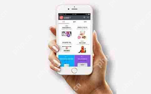 服务化架构开发：以微服务为核心，构建高可扩展的应用系统