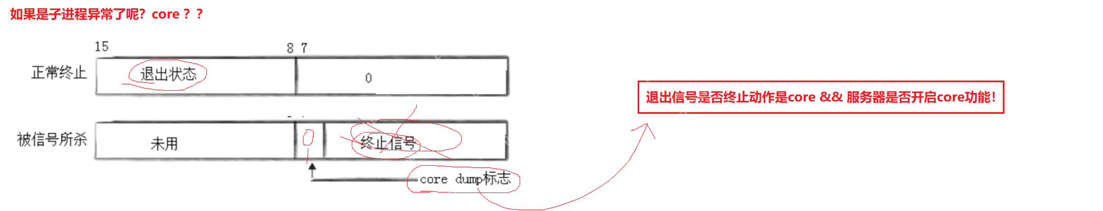 【linux学习指南】Linux进程信号产生(三) 硬件异常&&除零出错？&&野指针异常？&&core文件