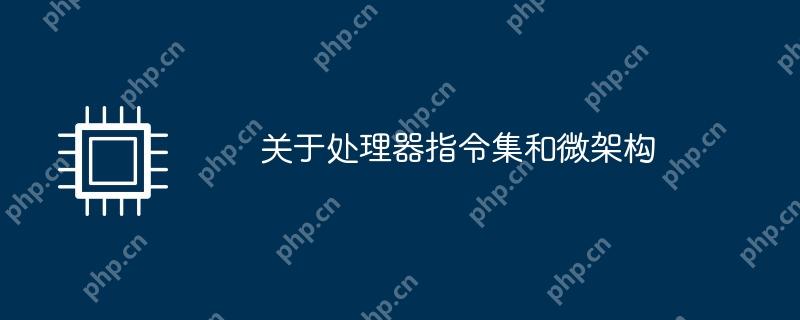 处理器指令集与微架构解析