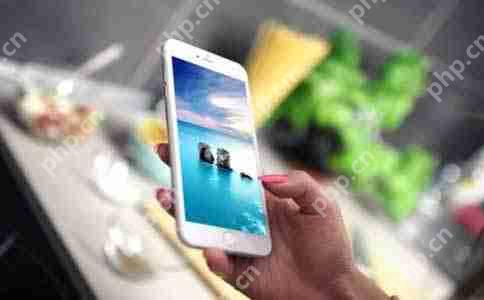 数据可视化在描述性统计分析中的应用