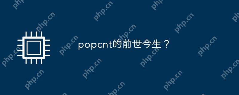 Popcnt的起源与发展，探究其前世今生