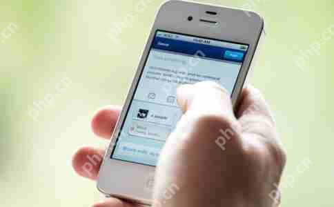 不同领域中如何应用设计软件来提高效率和创造价值