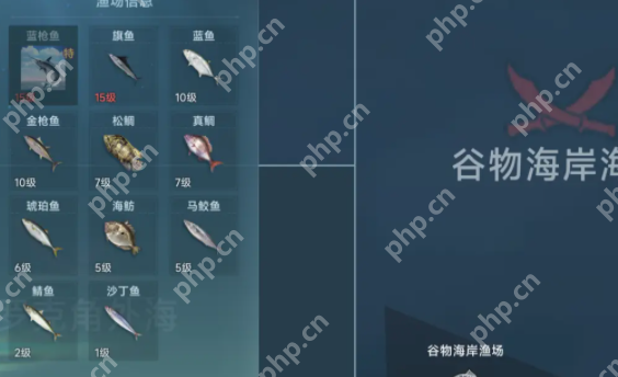 大航海时代传说全渔场鱼类图鉴：从菜鸟到捕鱼达人的终极指南