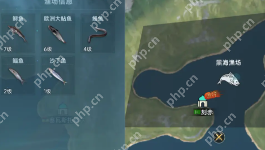 大航海时代传说全渔场鱼类图鉴：从菜鸟到捕鱼达人的终极指南