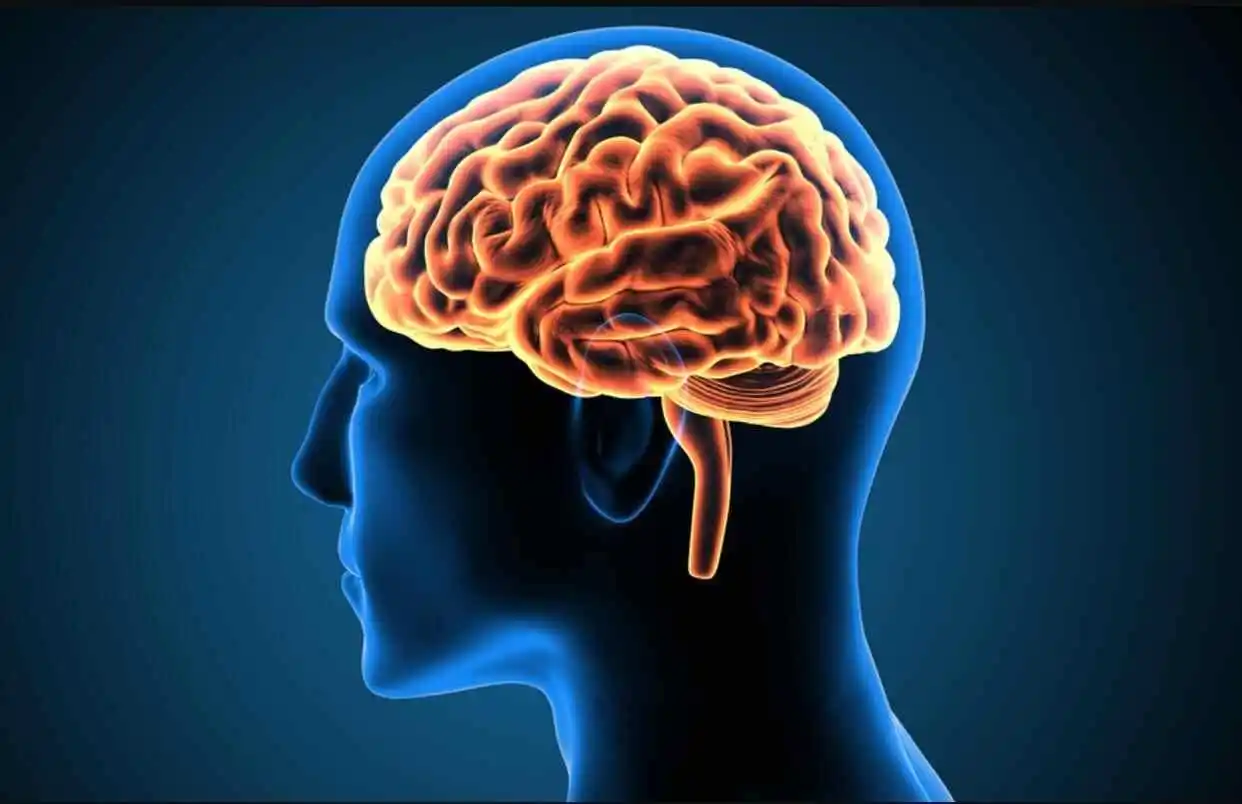 最新研究显示：人类的整体智力水平正在逐年下降！