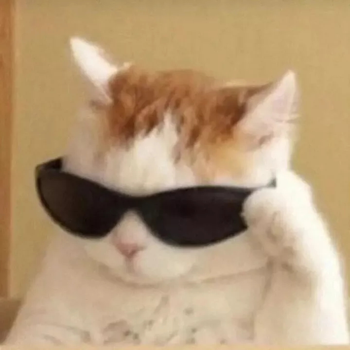 凉了 小米可能要放弃这种手机啦