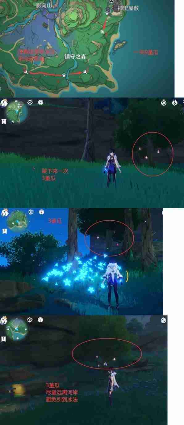 《原神》堇瓜点位分享-堇瓜采集线路推荐