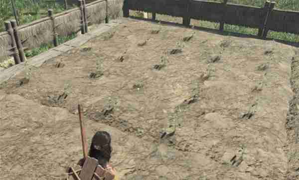 《灵魂面甲》作物自动化种植指南