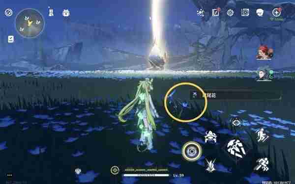 《鸣潮》鸢尾花位置说明-鸢尾花采集线路分享