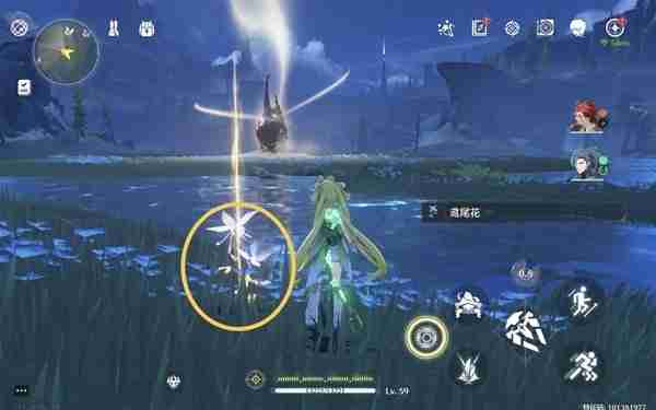 《鸣潮》鸢尾花位置说明-鸢尾花采集线路分享