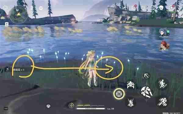 《鸣潮》鸢尾花位置说明-鸢尾花采集线路分享