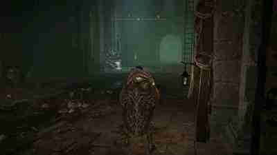 《艾尔登法环》刷怪靶场点位详细推说明