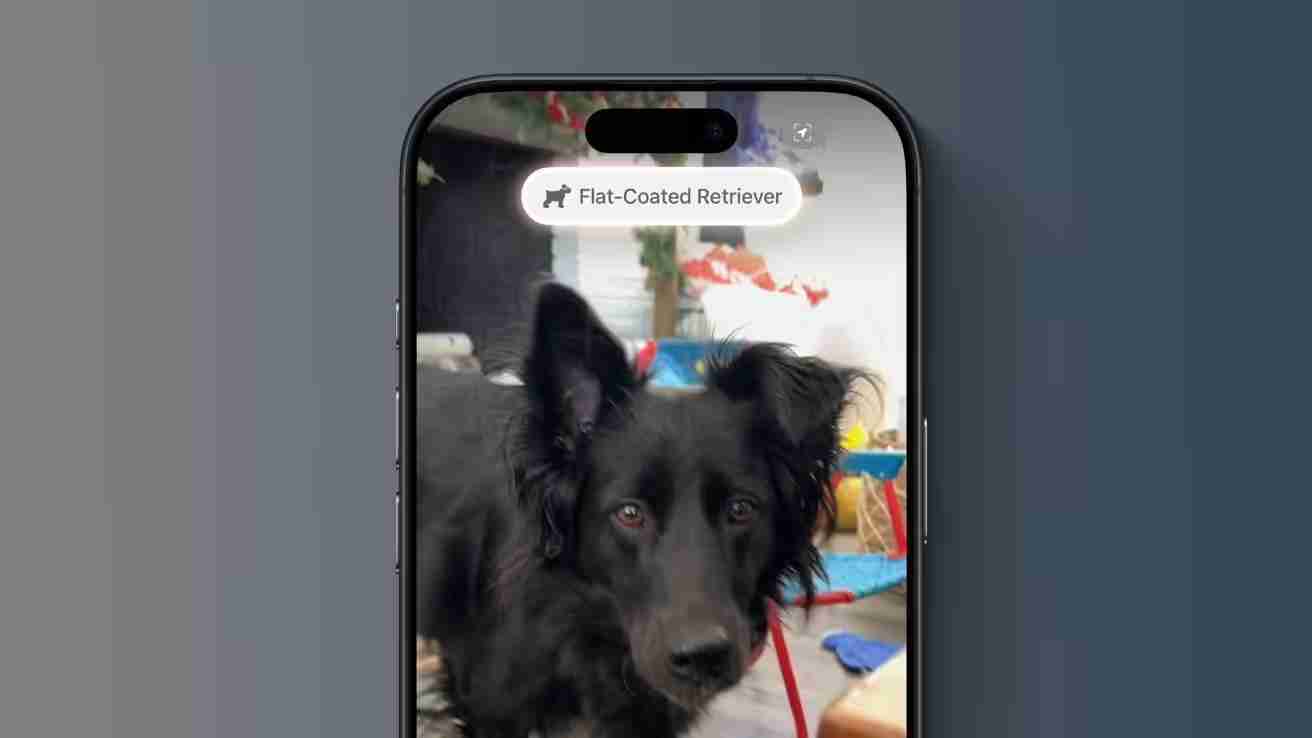 苹果升级iPhone 16视觉智能：提取海报日期变日历、实时识别动植物