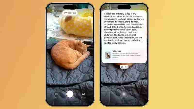 苹果升级iPhone 16视觉智能：提取海报日期变日历、实时识别动植物