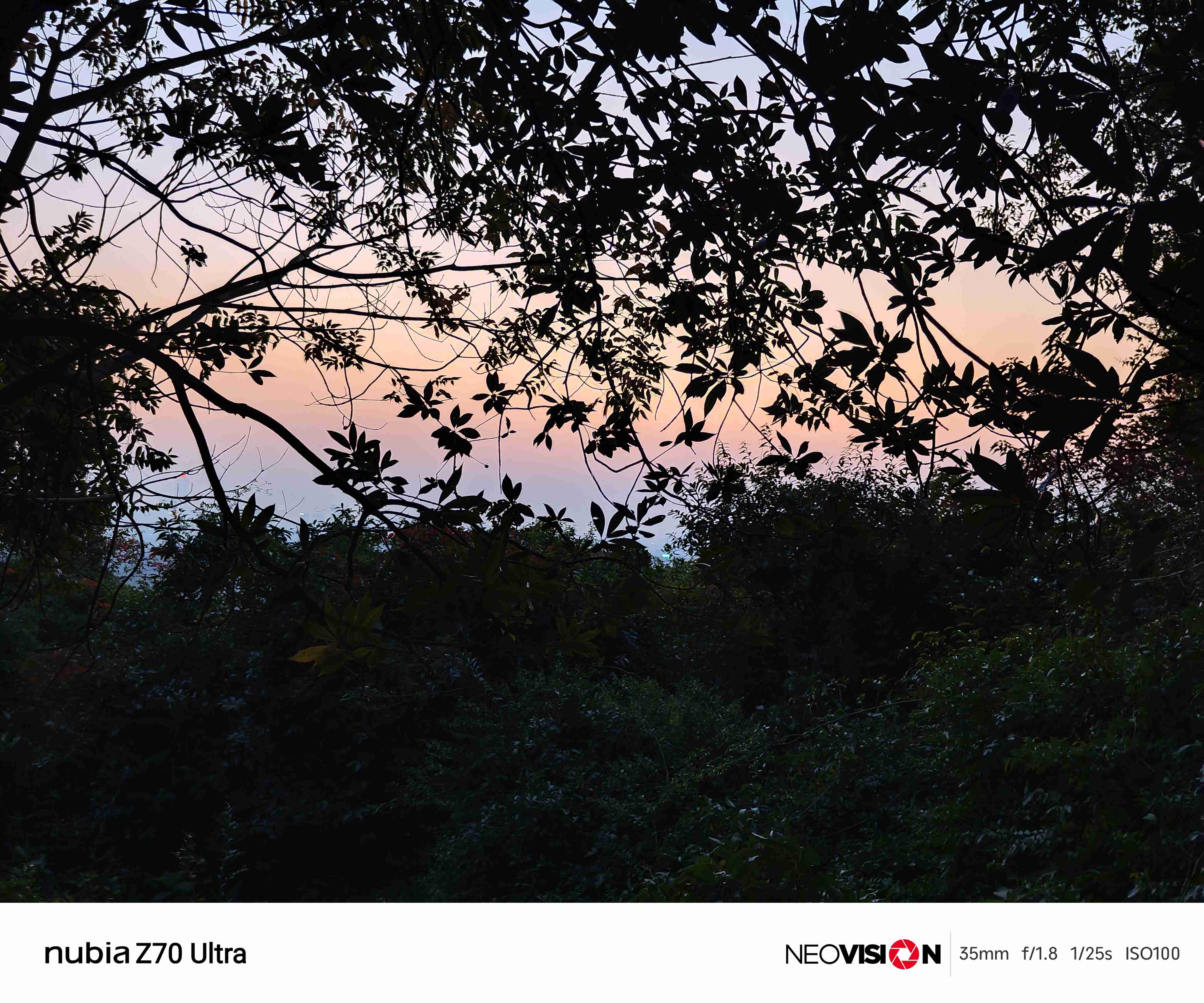 手机拍照专业模式大横评：米OV各具特色，AI重新定义专业？