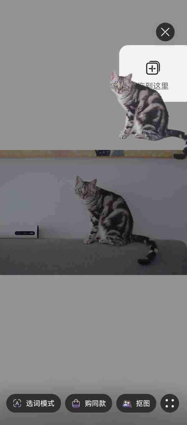 华为nova 13系列AI最佳表情体验评测：人人都是表情管理大师