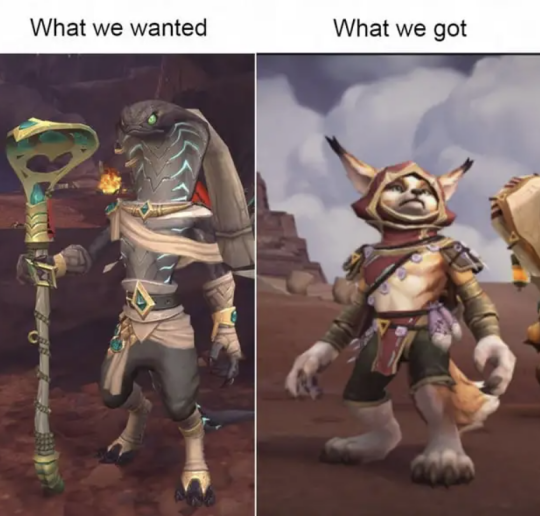 魔兽周报：带路党狂喜！PVP解除阵营限制 部落能与联盟组队打部落