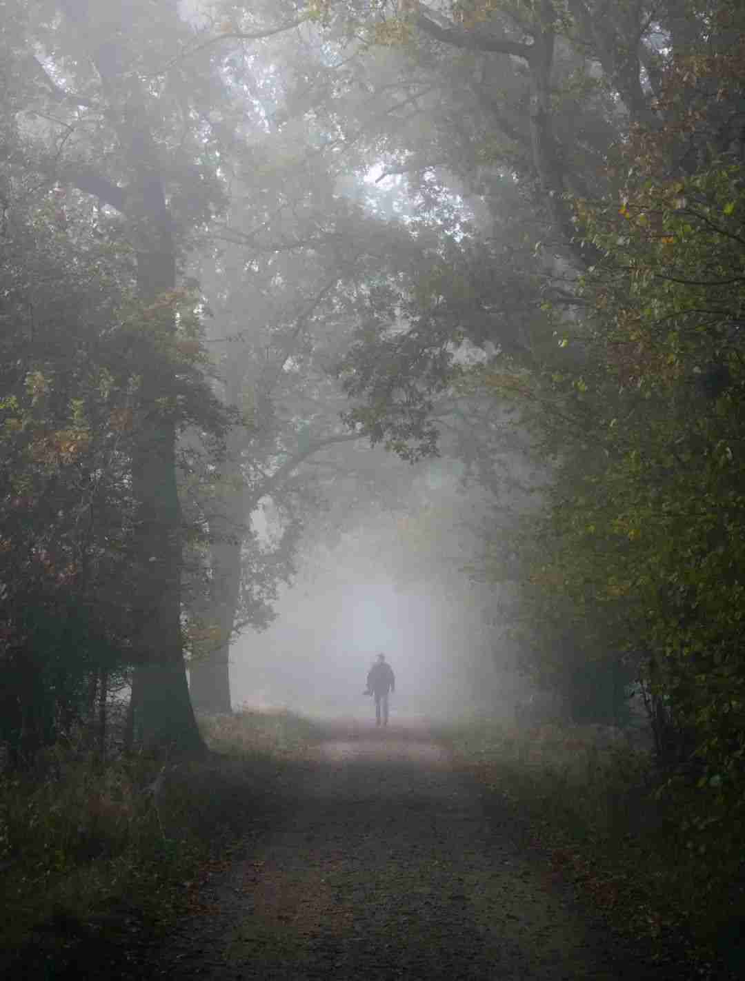 秋天的树木这么拍,更容易出片