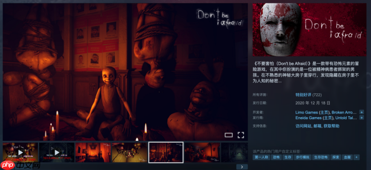 好评心理恐怖系列回归！《不要害怕：精神病院》Steam中文页面上线
