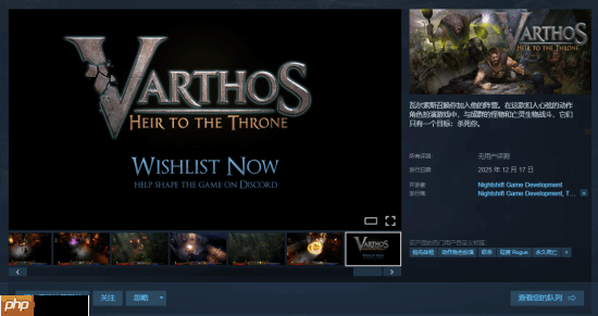 动作肉鸽《Varthos》12月17日于Steam开启抢先体验:无职业限制 支持3人联机体验
